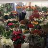 گل فروشی ریتا در دوسلدورف